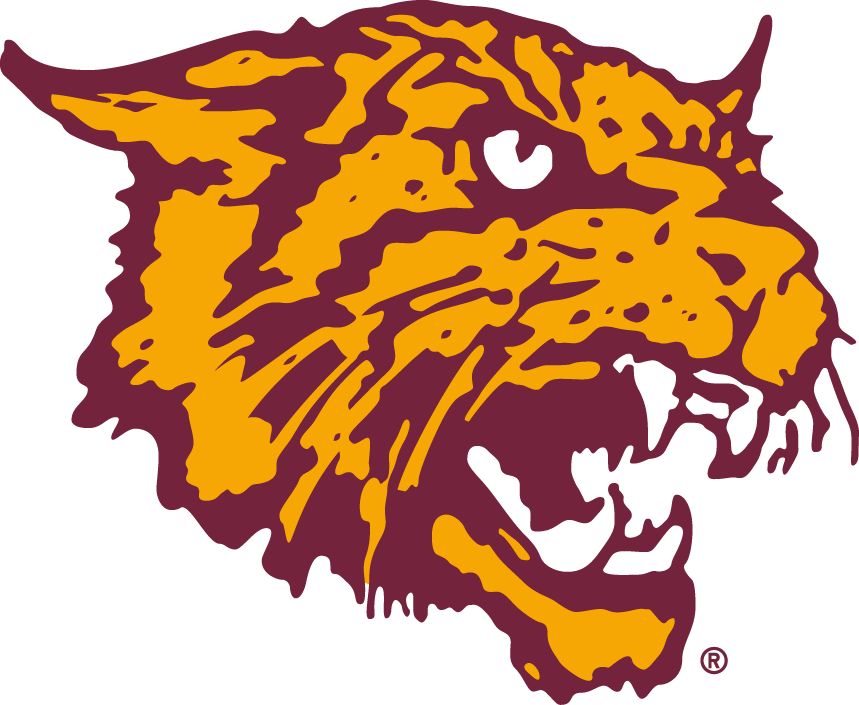 Bethune-Cookman Wildcats 2000-2015 Alternate Logo v3 iron on transfers for clothing